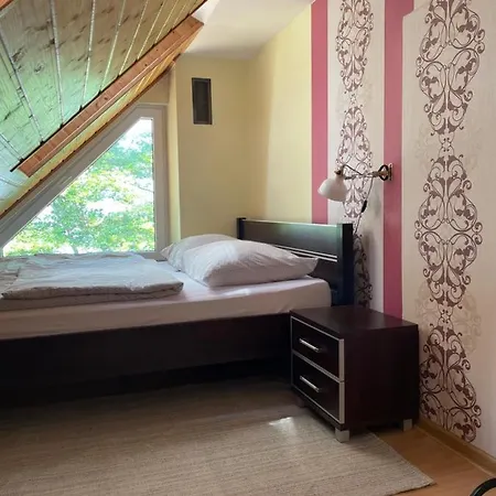 Apartment Vip